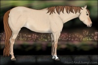 Horse Color:Red Dun Roan