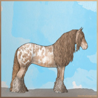 Horse Color:Gold Champagne Pearl Appaloosa Rabicano  and Liver Chestnut Pearl Appaloosa Rabicano 