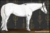 Horse Color:Palomino Roan Pearl Dun Near Leopard 
