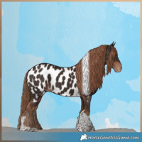 Horse Color:Liver Chestnut Tobiano Near Leopard 