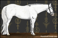 Horse Color:Cremello Sabino Near Leopard  and Cremello Sabino Near Leopard 
