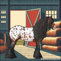 Horse Color:Bay Frame Appaloosa 