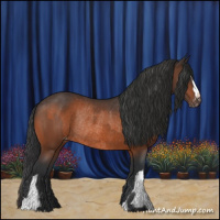 Horse Color:Brown Varnish Rabicano  and Brown Varnish Rabicano 