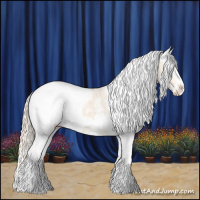 Horse Color:Perlino Sabino Appaloosa  and Perlino Sabino Splash Appaloosa 