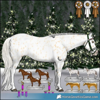 Horse Color:Palomino Dun Splash Appaloosa