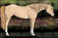Horse Color:Gold Champagne Tobiano 