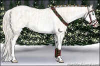 Horse Color:Cremello Sabino Appaloosa  and Perlino Sabino Appaloosa 