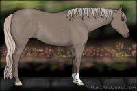 Horse Color:Silver Grullo
