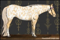 Horse Color:Palomino Near Leopard  and Palomino Near Leopard Rabicano 