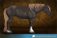 Horse Color:Liver Chestnut Tobiano 