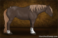 Horse Color:Liver Chestnut Tobiano 