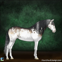 Horse Color:Brown Onyx Splash Frame 