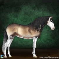 Horse Color:Brown Onyx Splash 