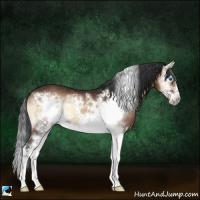 Horse Color:Brown Onyx Splash Frame 