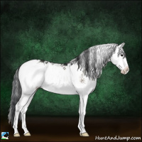 Horse Color:Brown Onyx Sabino Splash 