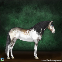 Horse Color:Brown Onyx Splash Frame 