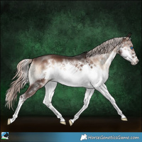 Horse Color:Liver Red Onyx Mushroom Splash Frame Brindle