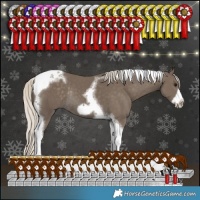Horse Color:Silver Smoky Black Tobiano Frame Rabicano 