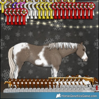 Horse Color:Silver Smoky Black Tobiano Frame Rabicano