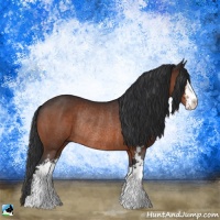 Horse Color:Brown Sabino Rabicano 