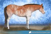 Horse Color:White Spotted Bay Splash  and White Spotted Bay Splash 