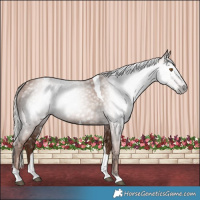 Horse Color:Gray Silver Black Pearl Tobiano