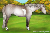 Horse Color:Gray Silver Black Pearl Tobiano 