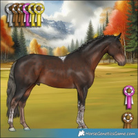 Horse Color:Liver Chestnut Mushroom Tobiano 