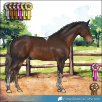 Horse Color:Liver Chestnut Mushroom Tobiano 