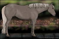 Horse Color:Silver Black 