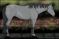 Horse Color:Bay Chinchilla 