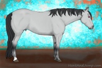 Horse Color:Bay Chinchilla 