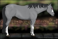Horse Color:Bay Chinchilla 