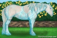 Horse Color:Thunderstruck Smoky Creme 
