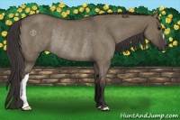 Horse Color:Smoky Grullo Rabicano 