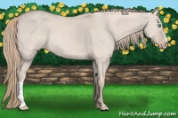 Horse Color:Smoky Creme Dun 