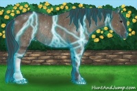 Horse Color:Thunderstruck Smoky Grullo Rabicano
