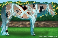 Horse Color:Thunderstruck White Spotted Sable Champagne