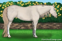 Horse Color:Smoky Creme Dun 