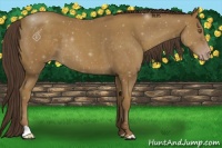 Horse Color:Classic Cream Champagne 