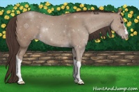 Horse Color:Classic Champagne 