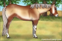 Horse Color:Silver Bay Onyx 
