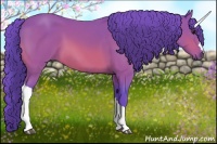 Horse Color:Watercolor Bay 