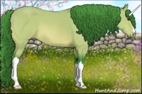 Horse Color:Watercolor Bay 