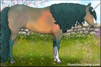 Horse Color:Watercolor Bay 