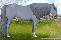Horse Color:Watercolor Blue Roan