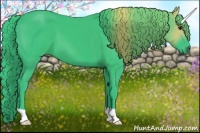 Horse Color:Watercolor Black
