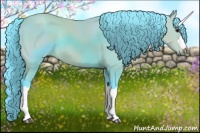 Horse Color:Watercolor Bay 