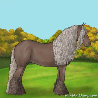 Horse Color:Silver Black 