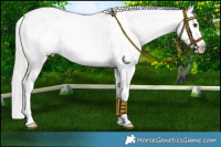 Horse Color:Silver Grullo Near Leopard 